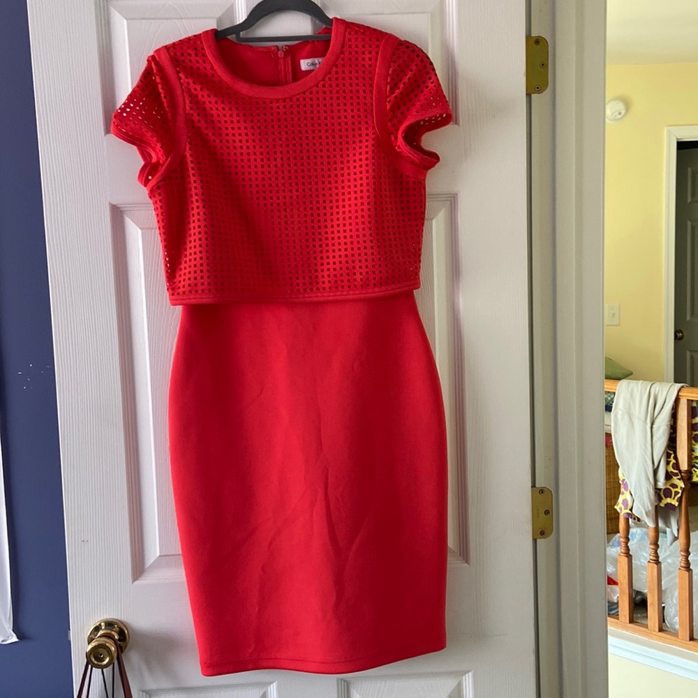 Burnt red classy dress by Calvin Klein. Worn only once. No tears or stains.